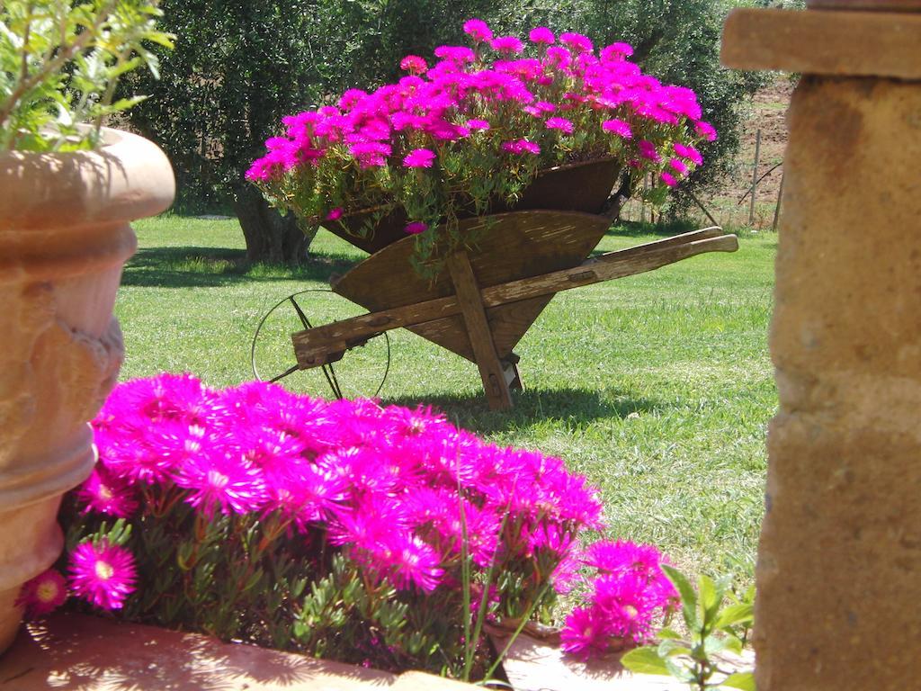 מונטאלטו די קסטרו Locanda Degli Etruschi חדר תמונה