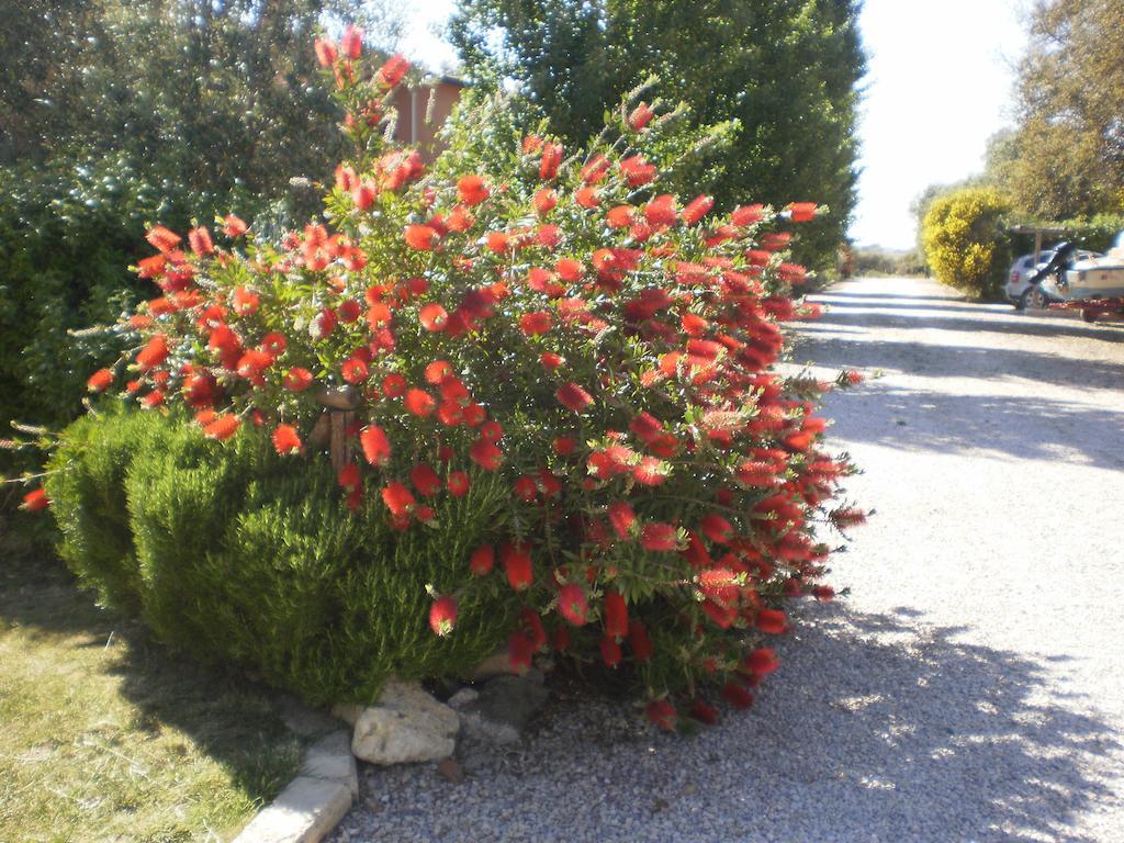 מונטאלטו די קסטרו Locanda Degli Etruschi מראה חיצוני תמונה