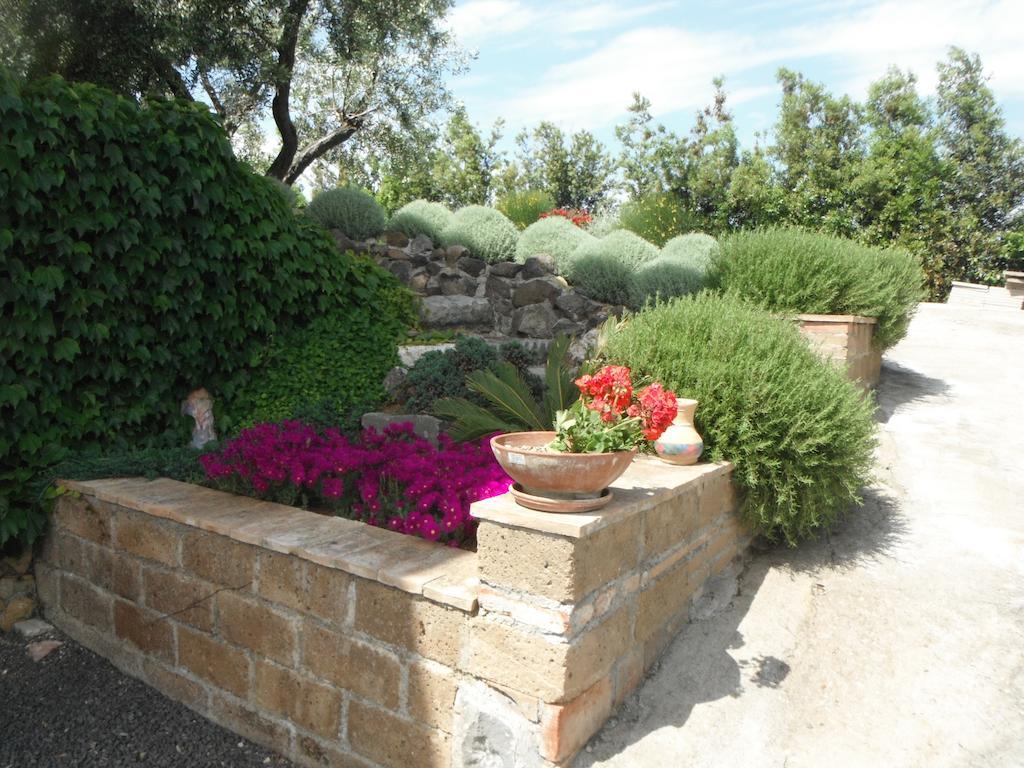 מונטאלטו די קסטרו Locanda Degli Etruschi מראה חיצוני תמונה