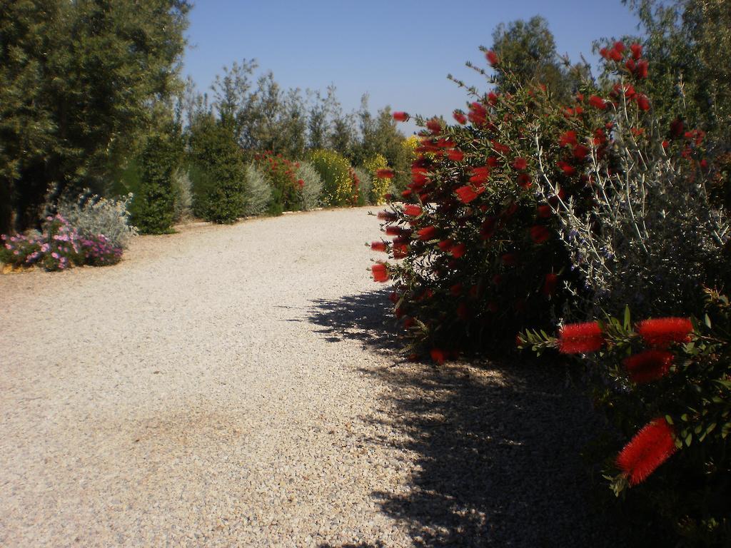 מונטאלטו די קסטרו Locanda Degli Etruschi מראה חיצוני תמונה